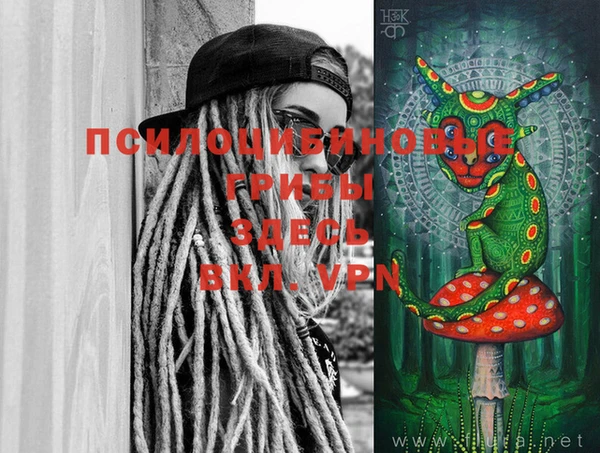 сатива Сосновка