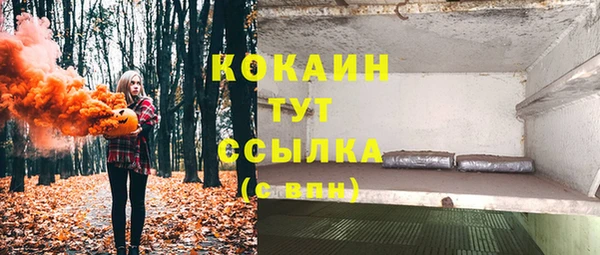 сатива Сосновый Бор