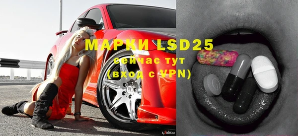 сатива Сосновка