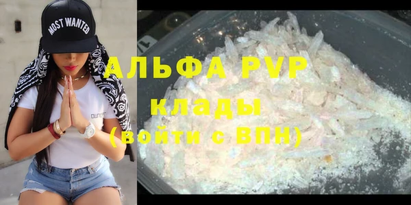 сатива Сосновка